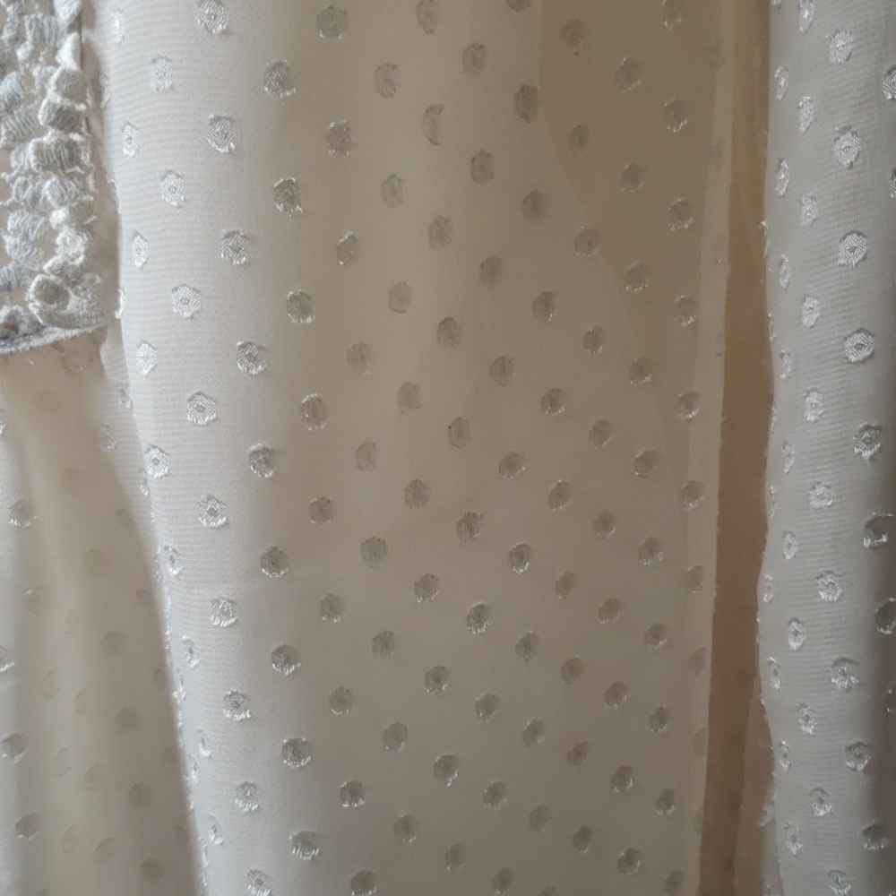 Cal Style Feminine Cottagecore Sheer Polka Dot and Lace Smock Blouse - Picture 5 of 7
